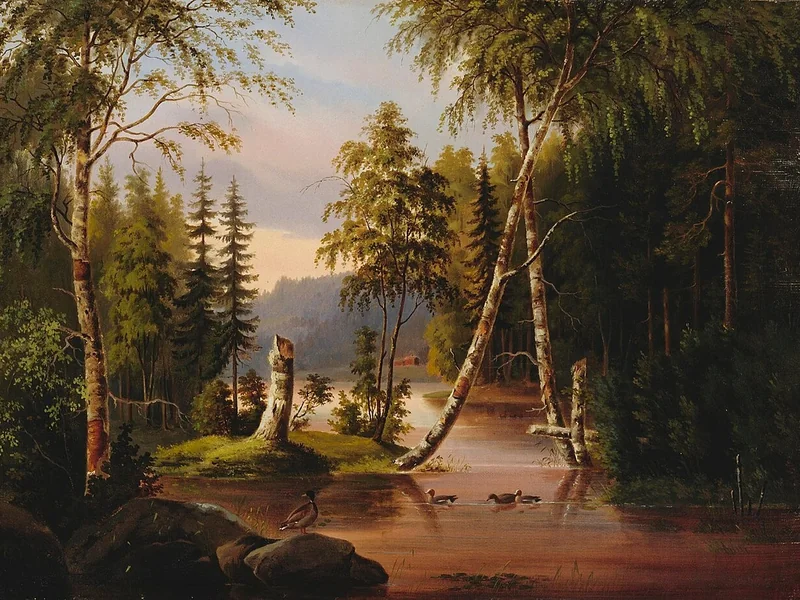 1817-Lennart Forsten - Fiume Niemisjoki nel comune di Pielavesi